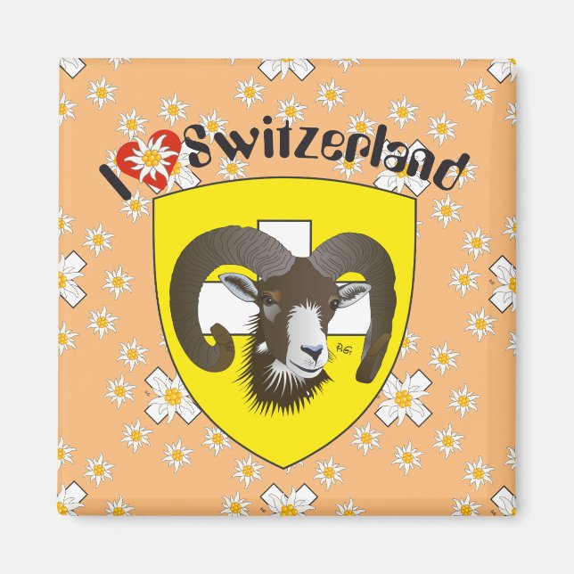 Schaffhouse - Suisse - Suisse - Svizzera Magnet (Devant)