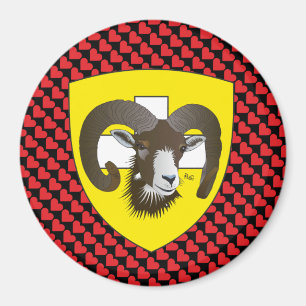 Schaffhouse - Suisse - Suisse - Svizzera Magnet