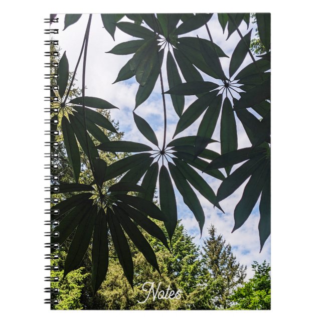 Schefflera Plant Leaves Floral Notebook (Front)