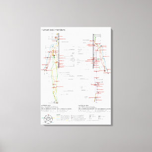Schematic Chart Chinese Human Body Meridians Canvas Print