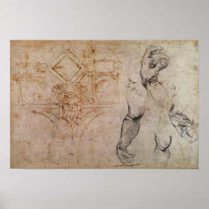 Scheme for the Sistine Chapel Ceiling, c.1508 Poster