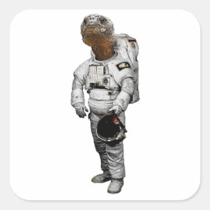 Schildkröte Astronaut Sticker