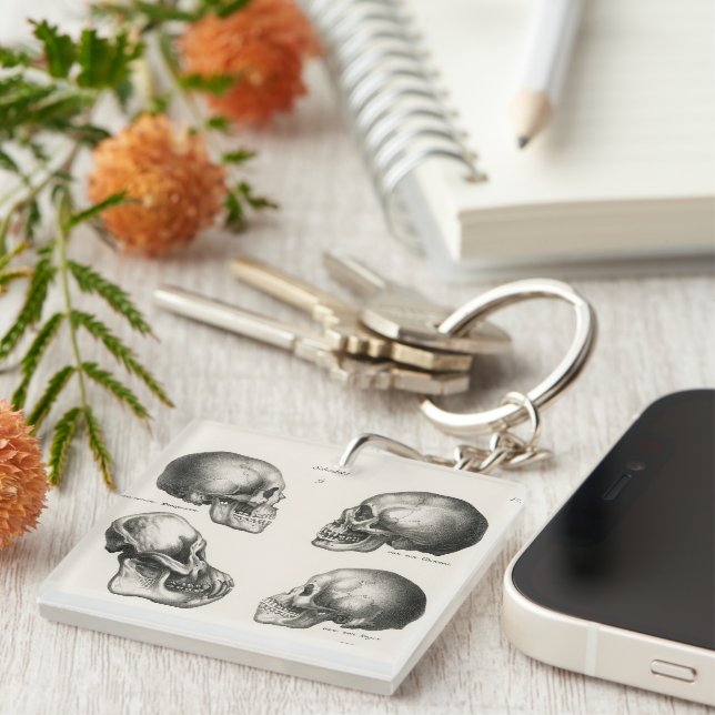 Schinz de Visser Human Monkey & Ape Skulls Keychain (Front Right)