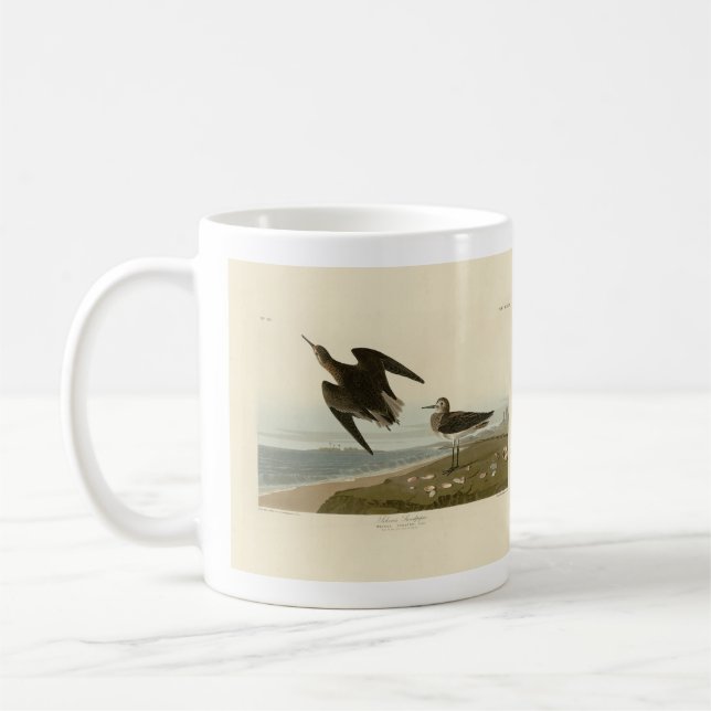 Schinz's Sandpiper from Audubon's Birds of America Coffee Mug (Left)