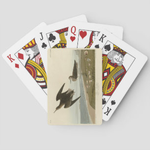 Schinz's Sandpiper from Audubon's Birds of America Playing Cards
