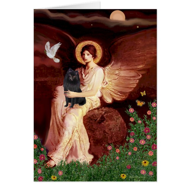 Schipperke 2 - Seated Angel (Front)