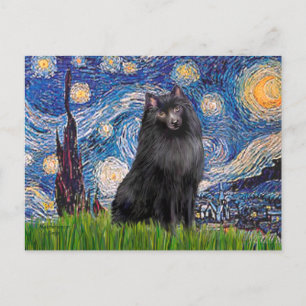 Schipperke 2 - Starry Night Postcard
