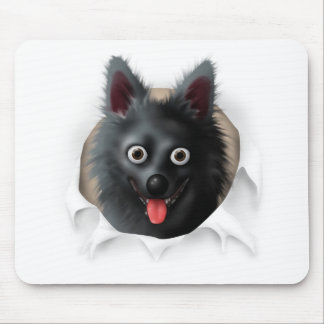 Schipperke Busting Out Mouse Pad