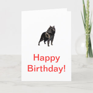 Schipperke Card