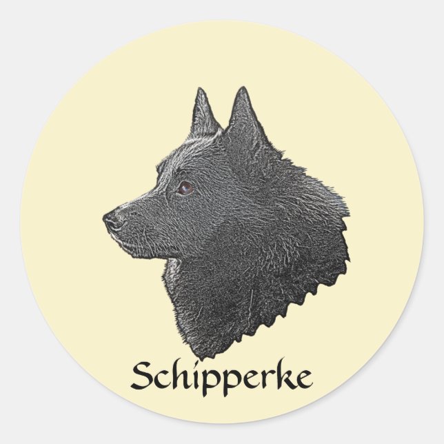 Schipperke Classic Round Sticker (Front)