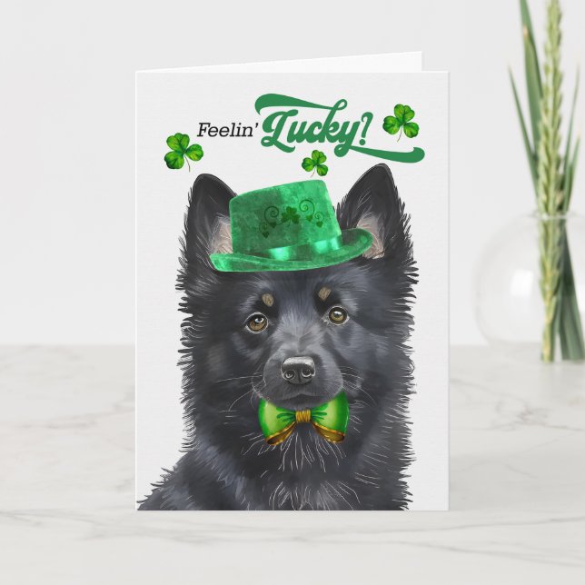 Schipperke Dog Feelin' Lucky St Patrick's Day Holiday Card (Front)