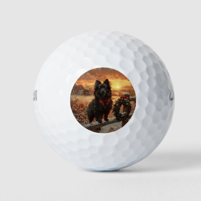 Schipperke Dog Rustic Winter Sunset Golf Balls (Front)