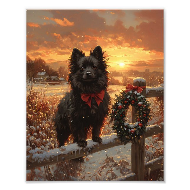 Schipperke Dog Rustic Winter Sunset Photo Print (Front)