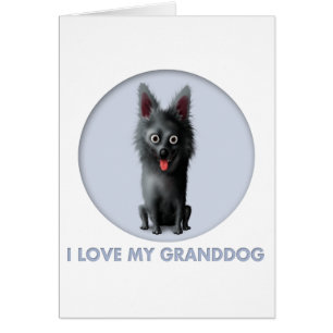 Schipperke Granddog