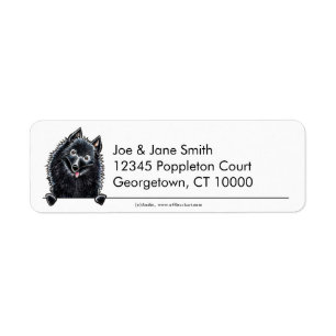 Schipperke n propre simple