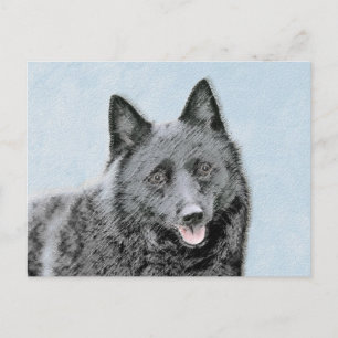 Schipperke Painting - Cute Original Dog Art Postcard