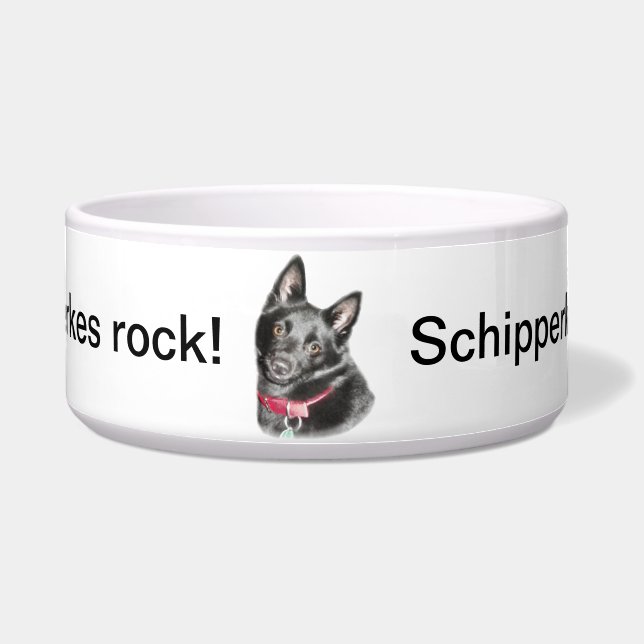 Schipperke Picture (Front)