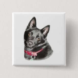 Schipperke Picture 2 Inch Square Button
