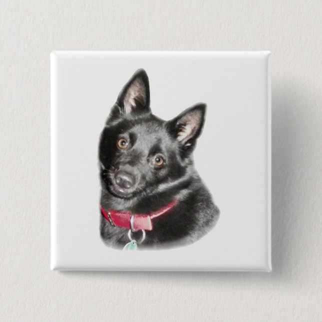 Schipperke Picture 2 Inch Square Button (Front)