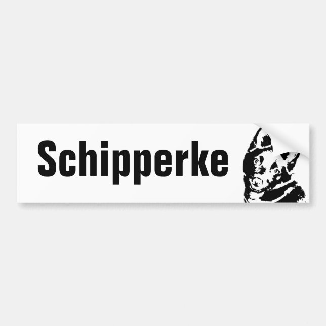 Schipperke Picture Bumper Sticker (Front)