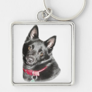 Schipperke Picture Keychain