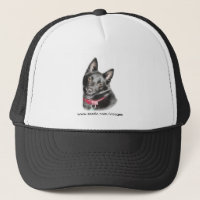 Schipperke Picture