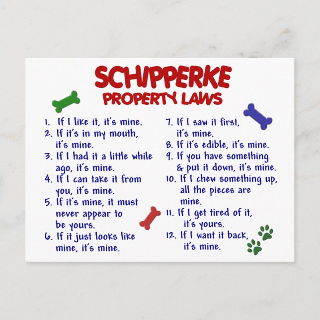 SCHIPPERKE Property Laws 2 Postcard (Front)
