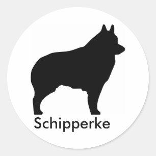 Schipperke Sticker 2