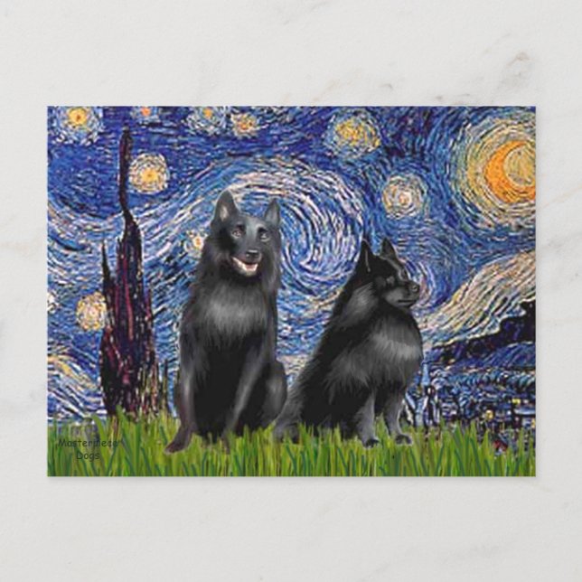 Schipperkees (two,5&amp;6) - Starry Night Postcard (Front)