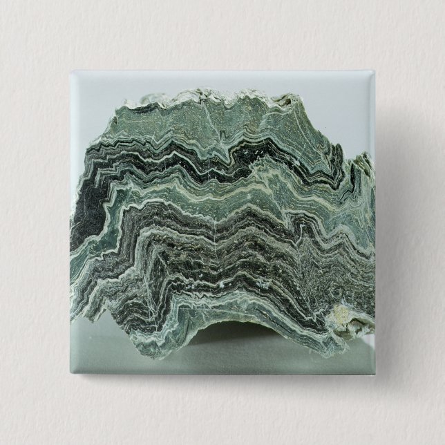 Schist rock 2 inch square button (Front)