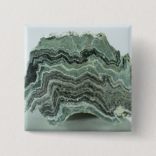 Schist rock 2 inch square button