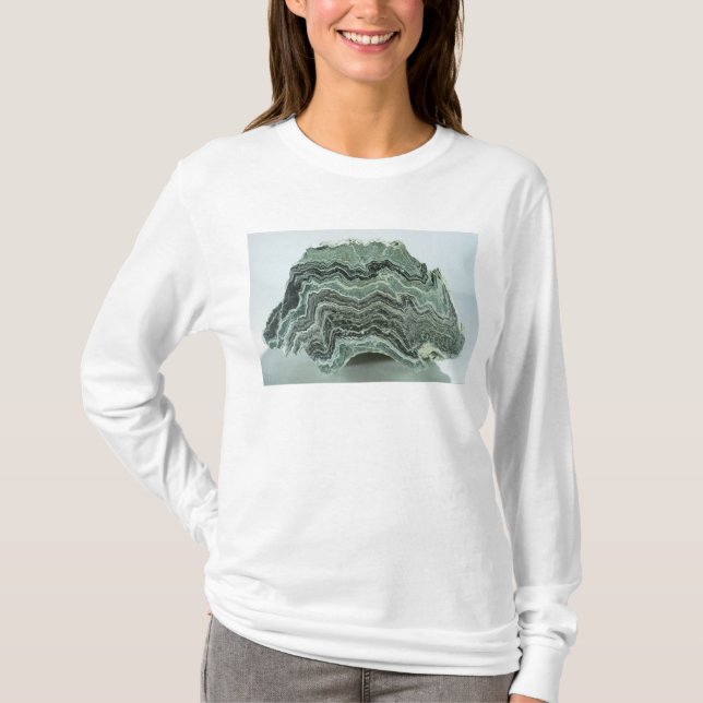 Schist rock T-Shirt (Front)