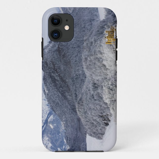 Schloss Hohenschwangau Case-Mate iPhone Case (Back)