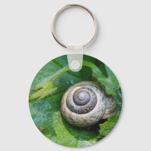 Schlüsselanhänger hübsche Schnecke Keychain