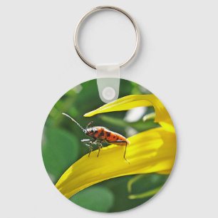 Schlüsselanhänger roter Punktekäfer Keychain