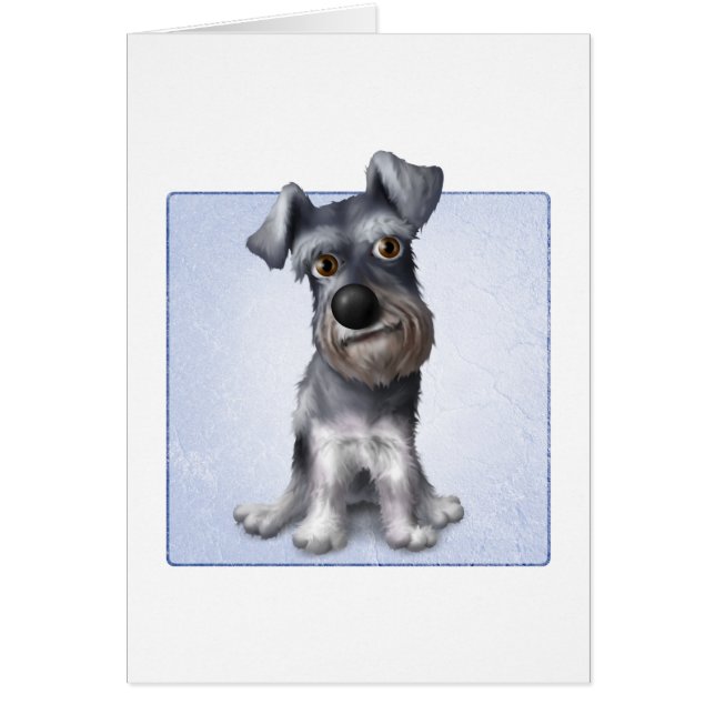Schnauzer (Devant)