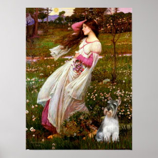 Schnauzer 11N - Windflowers Poster