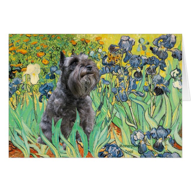 Schnauzer 12 - Irises (Front Horizontal)