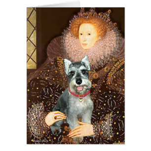 Schnauzer 8cr - Queen