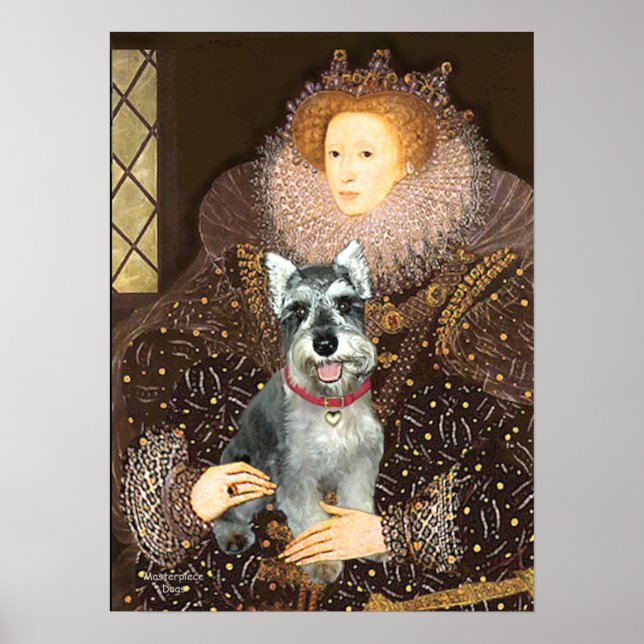 Schnauzer 8cr - Queen Poster (Front)