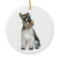 Schnauzer (A11)
