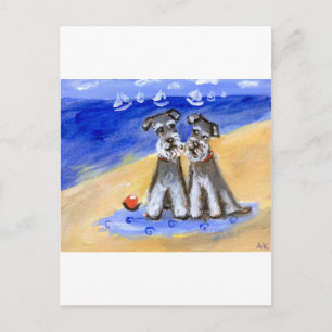 Schnauzer beach love postcard