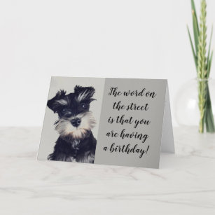 SCHNAUZER CAN'T BELIEVE THE NEWS **50?** CARD