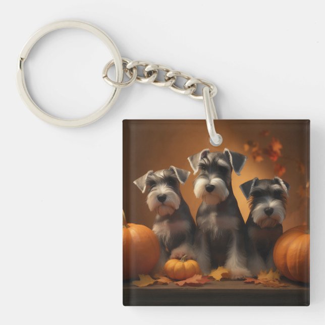 Schnauzer Chiot Automne Citrouille de plaisir (Devant)