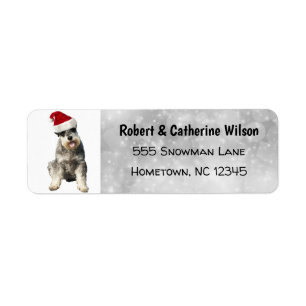 Schnauzer Christmas mignonne Santa Hat