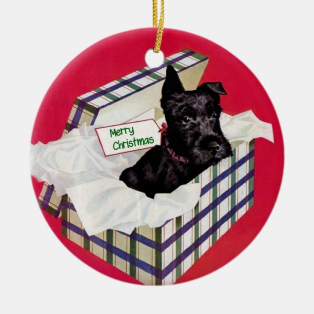 Schnauzer dans un ornement de boîte-cadeau (Devant)