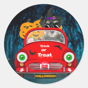 schnauzer Dog Driving Car Scary Halloween  Classic Round Sticker