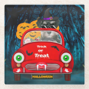 schnauzer Dog Driving Car Scary Halloween Glass Coaster