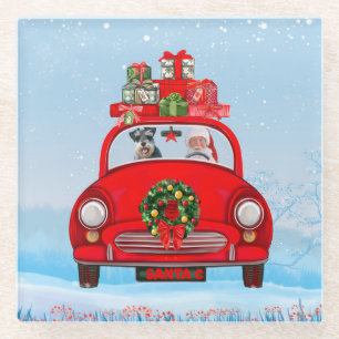 schnauzer Dog In Car With Santa Claus Glass Coaster