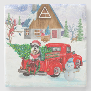 Schnauzer Dog In Christmas Delivery Truck Snow Stone Coaster